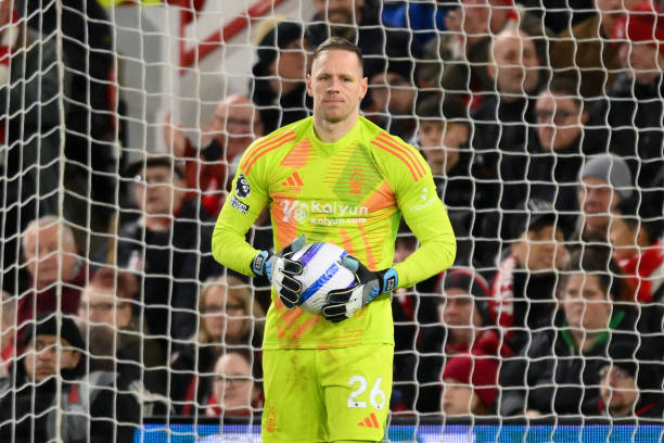 注并参与这 注并参与这