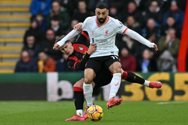 表现出了浓 表现出了浓